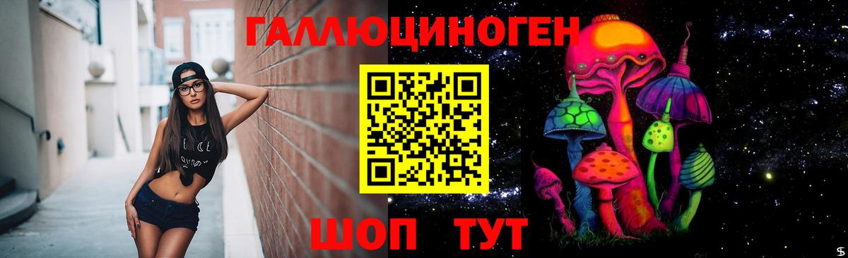 Воткинск  Галлюциногенные грибы Cubensis  Вход с VPN 